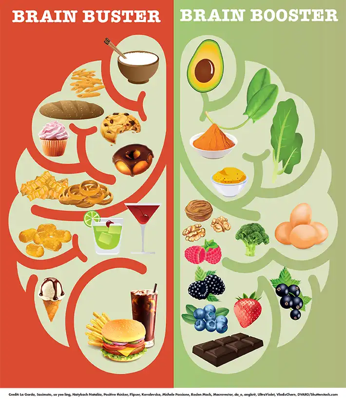 Alimentos que Pueden Dañar tu Cerebro: Lo que Debes Saber