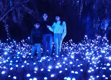 Descubre el Jardín Inconcluso: Una Experiencia Nocturna en Chapultepec