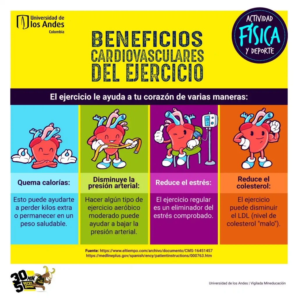 Ejercicios Esenciales para Mantener un Corazón Saludable