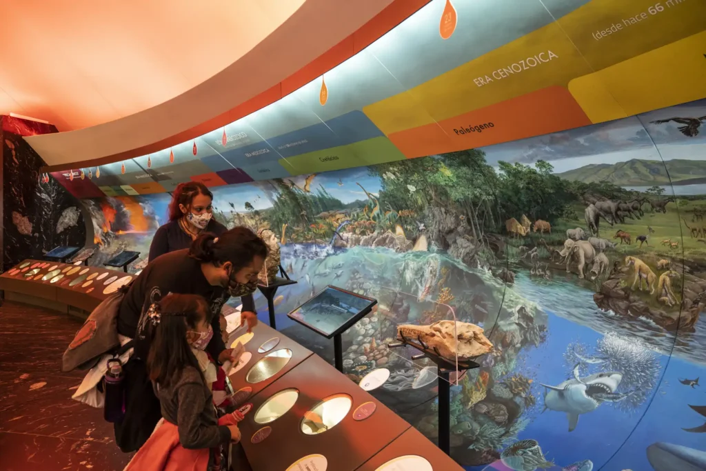 Explora el Fascinante Mundo del Museo de Historia Natural en Chapultepec