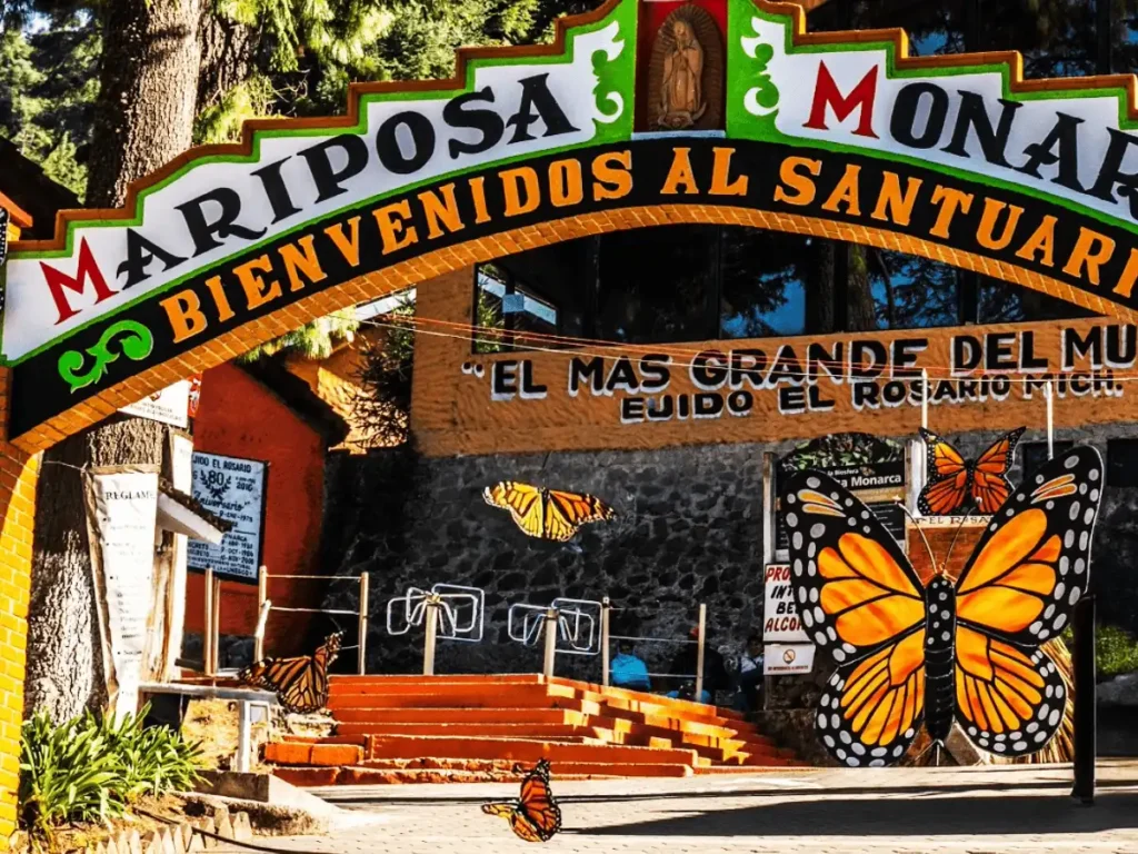 Explora el Santuario de la Mariposa Monarca en Michoacán: Un Viaje Inolvidable