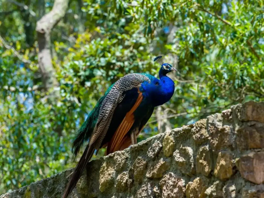 Explorando Bioparque Estrella: Precios y Experiencias para el 2026