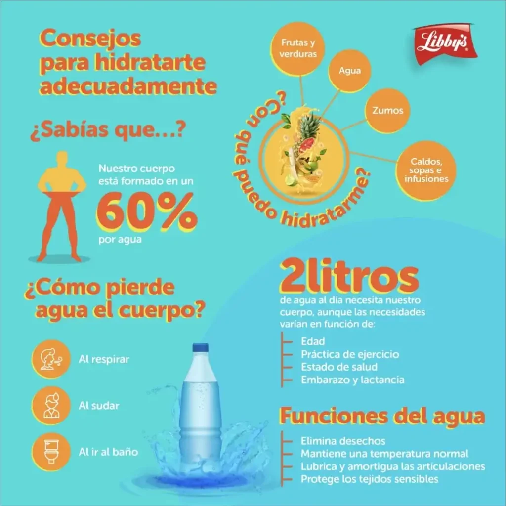 Guía Completa para una Hidratación Saludable: Opciones y Beneficios