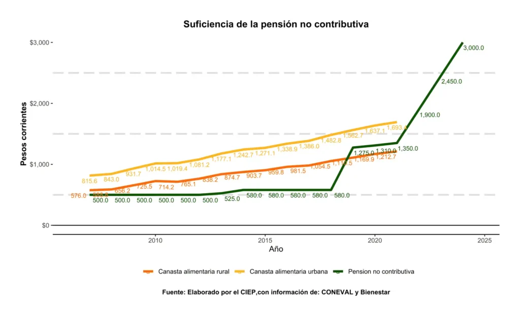 Impacto de los Programas Sociales en México: Un Análisis de la Pensión para Adultos Mayores