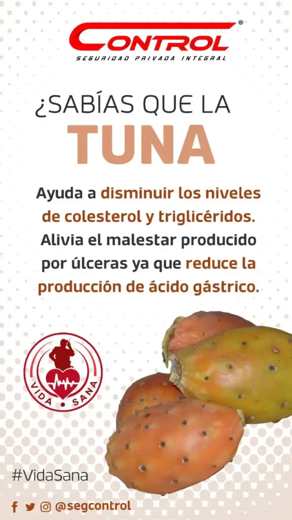 Los Increíbles Beneficios de la Tuna para la Salud