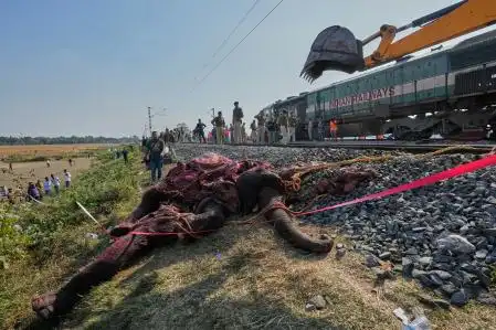 Tragedia en Assam: Un tren de alta velocidad impacta a una manada de elefantes