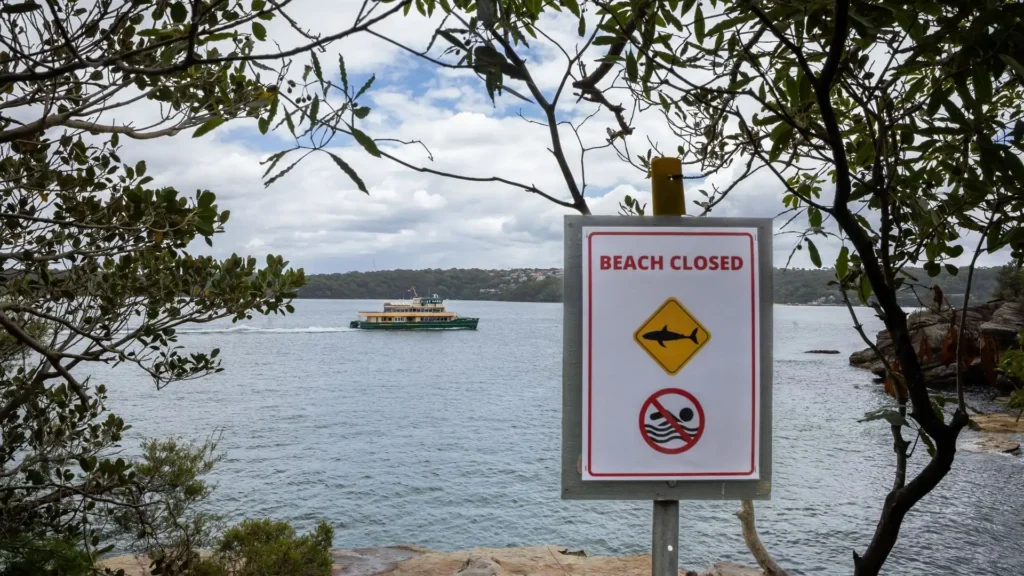 Tragedia en las costas australianas: la muerte de un niño tras un ataque de tiburón