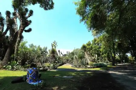 Una Celebración Sensorial en el Jardín Botánico de la UNAM para San Valentín